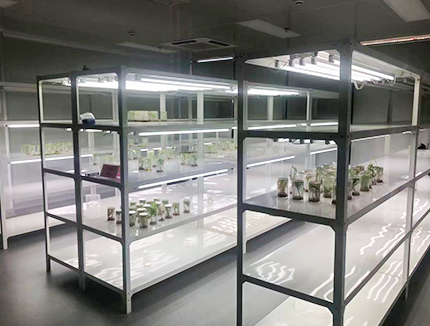 鋼木實驗臺與全鋼實驗臺有什么區(qū)別？